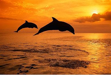 开发者Toby Fox：《三角符文》今年不会推出新章节